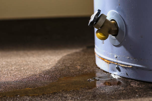 Best Commercial water damage restoration  in Bridgeport, NE