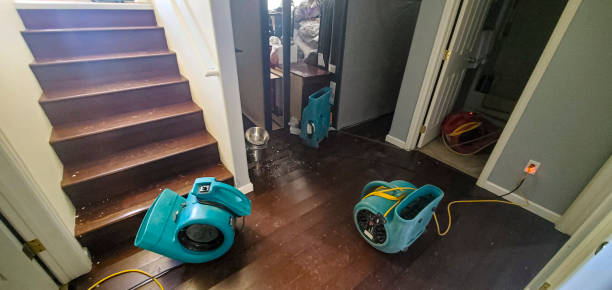 Carpet water damage restoration in Bridgeport, NE
