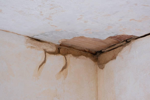 Best 24/7 water damage repair  in Bridgeport, NE
