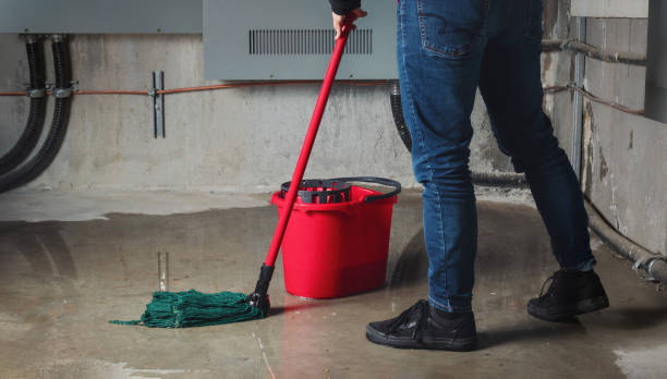Best Water damage contractors near me  in Bridgeport, NE