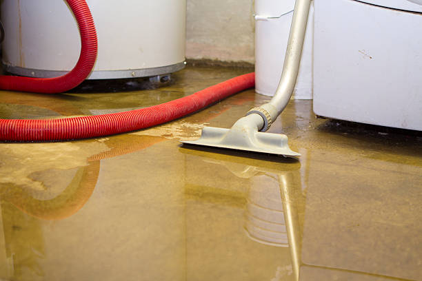 Best Water damage restoration mold remediation  in Bridgeport, NE