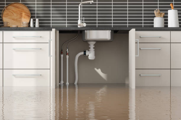 Best Basement water damage restoration  in Bridgeport, NE