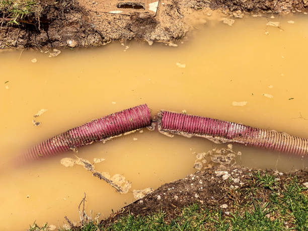 Best Water damage restoration near me  in Bridgeport, NE