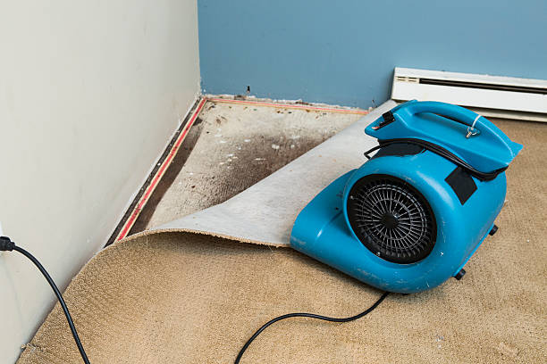Water damage restoration mold remediation in Bridgeport, NE